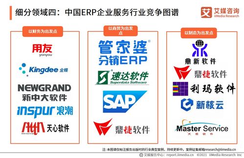2021上半年中國企業(yè)服務(wù)專題研究報告 信息咨詢服務(wù)發(fā)展分析