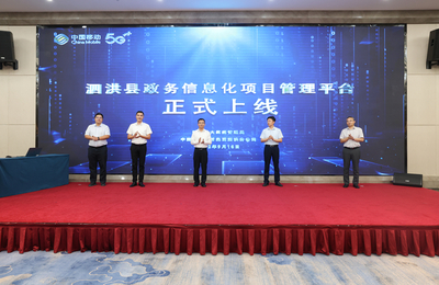 數字浪潮下的治理革新——我縣舉辦“數字政府建設路徑與實踐探索”專題講座